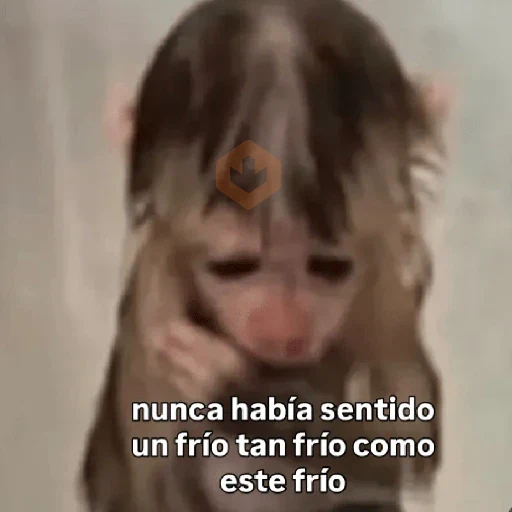 🧿 Monitos 🐒🐵 sticker 13