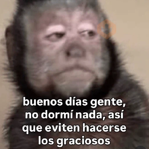 🧿 Monitos 🐒🐵 sticker 15