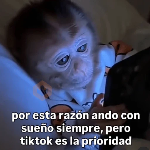 🧿 Monitos 🐒🐵 sticker 24