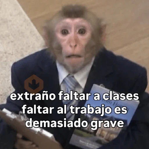 🧿 Monitos 🐒🐵 sticker 22