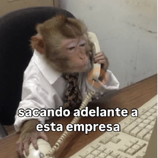 🧿 Monitos 🐒🐵 sticker 14