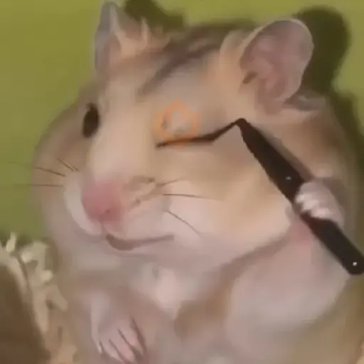 🐹💄 Hámster Maquillándose 💅🏻💋 sticker 13
