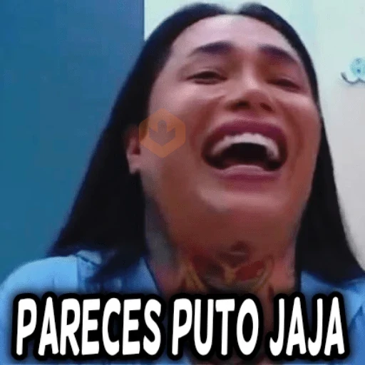 memes la casa de los famosos sticker 26