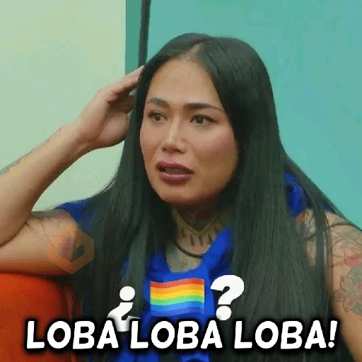 memes la casa de los famosos sticker 19
