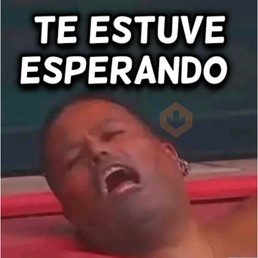 memes la casa de los famosos sticker 11