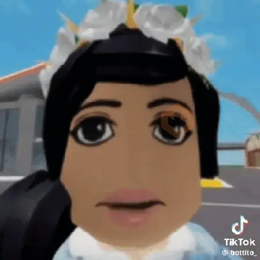 Memes Roblox sticker 11