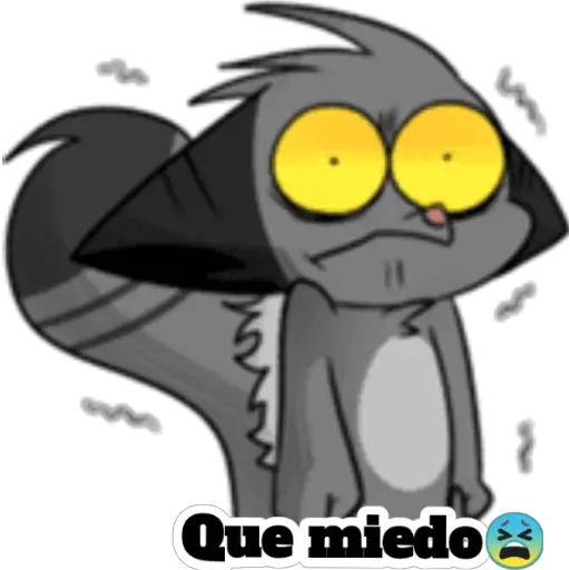Mapache (ᵔᴥᵔ)(ᵔᴥᵔ) 