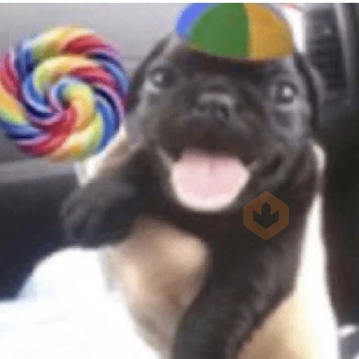 Memes do Tiktok sticker 29