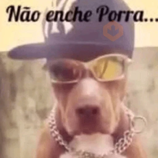 memes em alta tiktok + aura sticker 15
