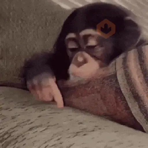 🐒🌴🐵 MONITOS 🐵🌴🐒 sticker 15