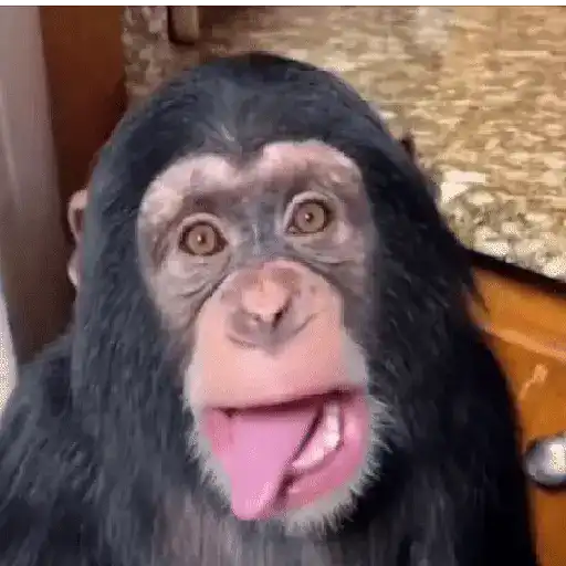 Monos muy monitos 🐒🐵🐒2️⃣ sticker 12