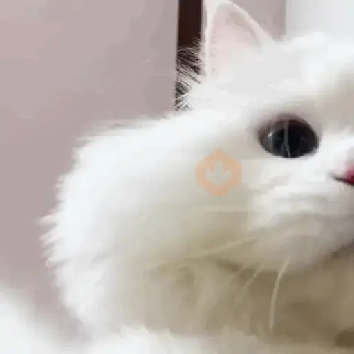 ANIMAL REACTION sticker 14