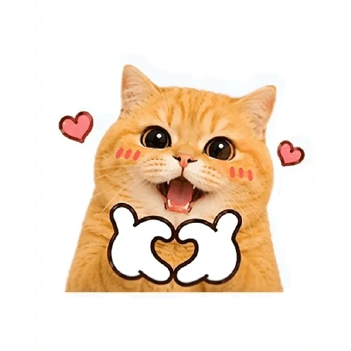 Gato sticker 11