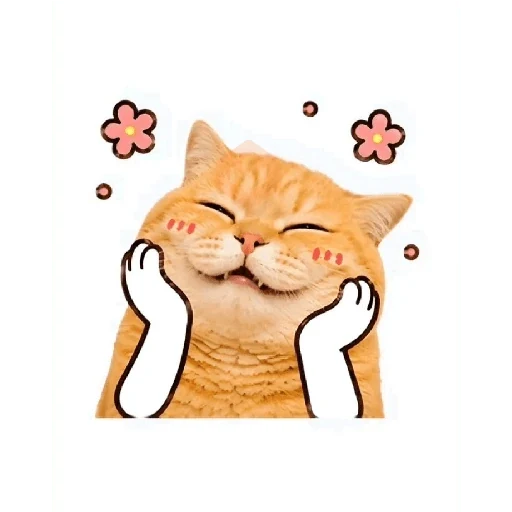 Gato sticker 13