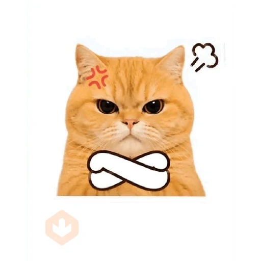 Gato sticker 12