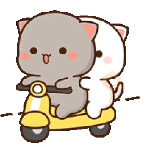 Mochi CAT LOVE 💘 AMOR sticker 17