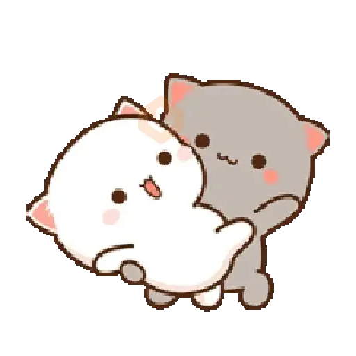 Mochi CAT LOVE 💘 AMOR sticker 18