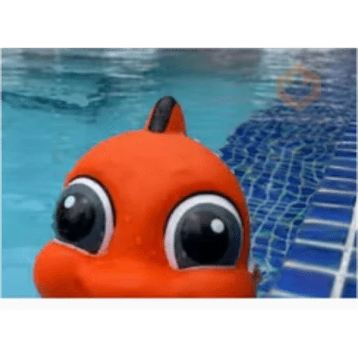 meme sticker 27