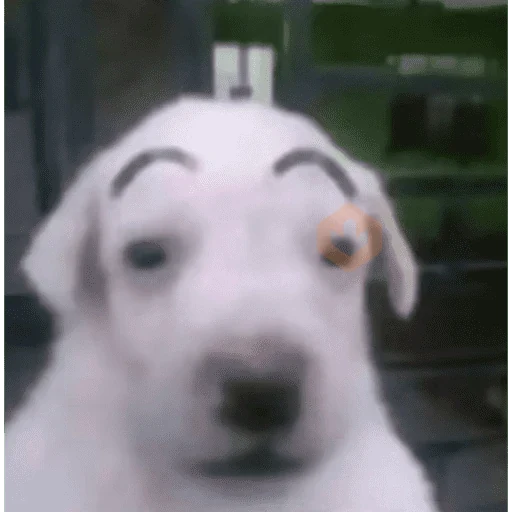 meme sticker 11