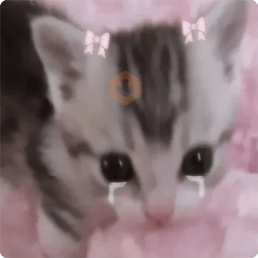 Gatos Random 🐈‍⬛🐈 XDXD sticker 13