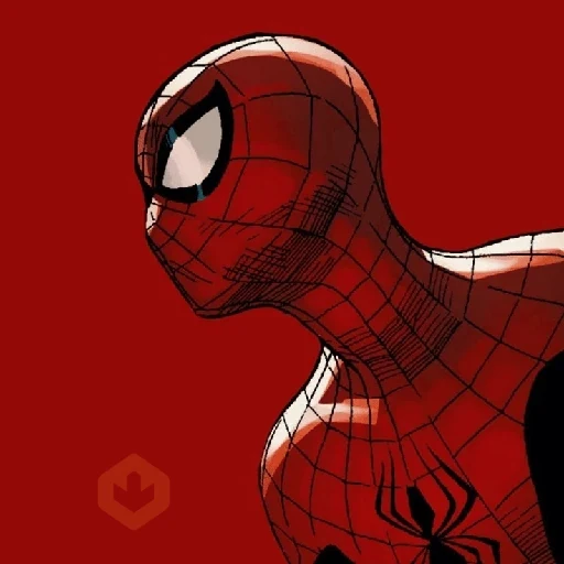 Spiderman sticker 12