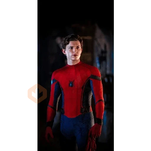 Spiderman sticker 16