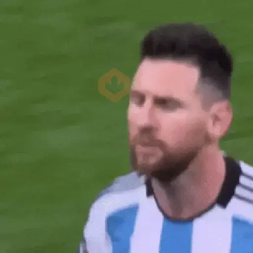 Argentina Messi🇦🇷 sticker 18