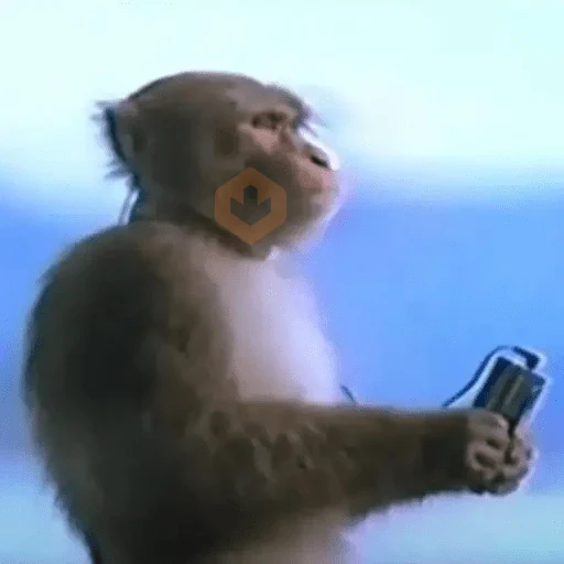 Memes Tiktok💬 sticker 26