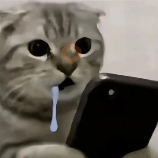 Memes Tiktok💬 sticker 18