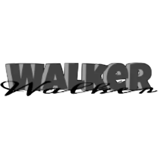 🖤🎧🎶Alan Walker 🎧🎶🖤