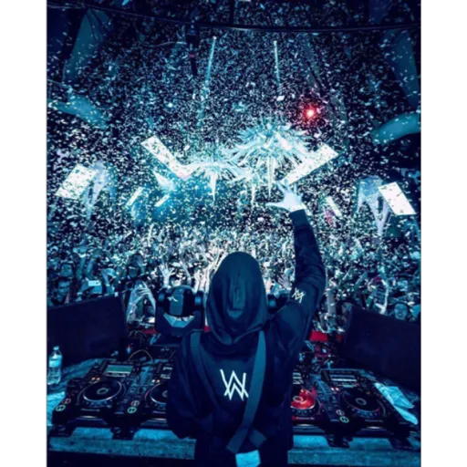🖤🎧🎶Alan Walker 🎧🎶🖤