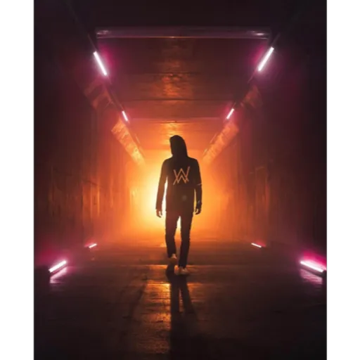 🖤🎧🎶Alan Walker 🎧🎶🖤