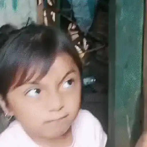 Memes Rosita TikTok 🌹 sticker 15