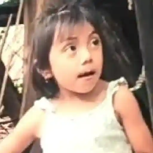 Memes Rosita TikTok 🌹 sticker 20