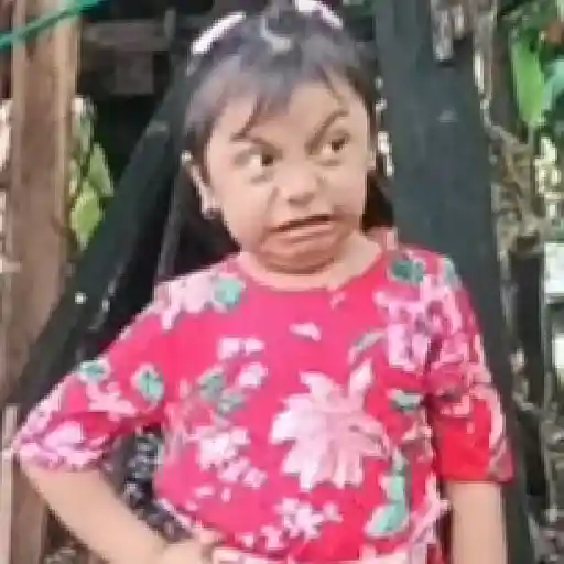 Memes Rosita TikTok 🌹 sticker 14