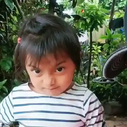 Memes Rosita TikTok 🌹 sticker 17