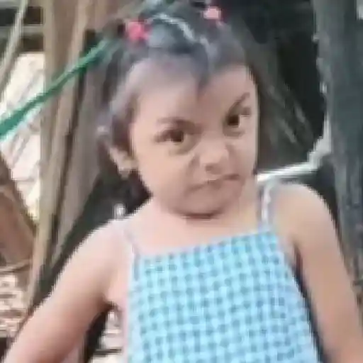 Memes Rosita TikTok 🌹 sticker 13