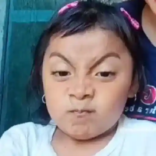 Memes Rosita TikTok 🌹 sticker 16