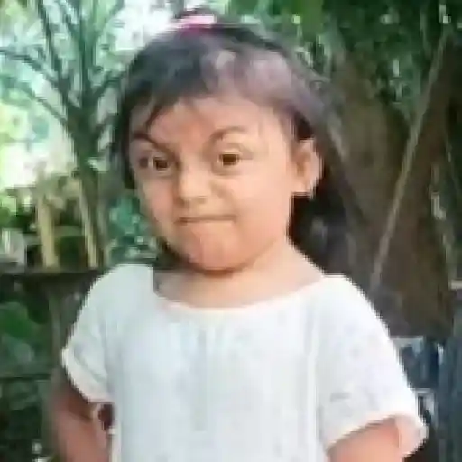 Memes Rosita TikTok 🌹 sticker 12