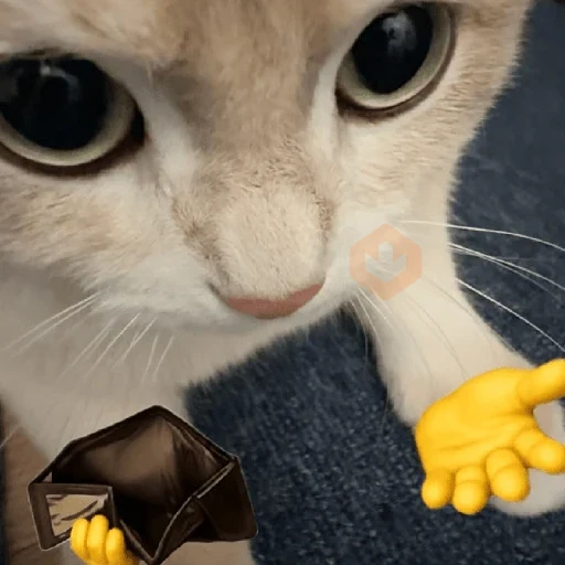 🐈🧶 GATOS | CATS 🧶🐈 sticker 11