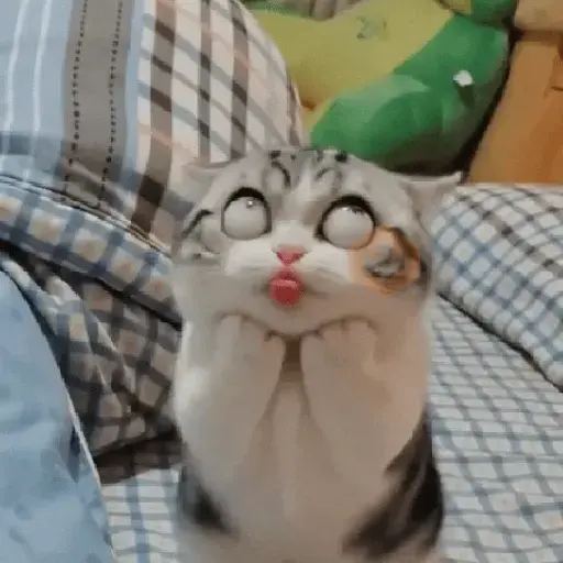 😸 GATOS | FUNNY 😹 sticker 11