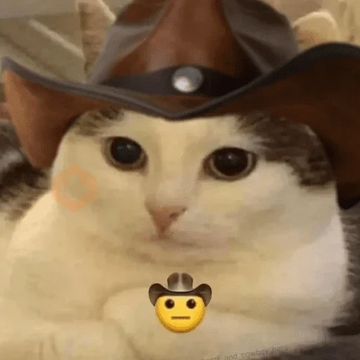 Cats emojis sticker 20