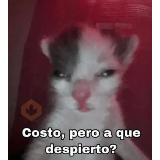 Memes para Responder 2.0 sticker 19