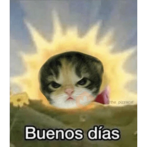 Memes para Responder 2.0 sticker 25