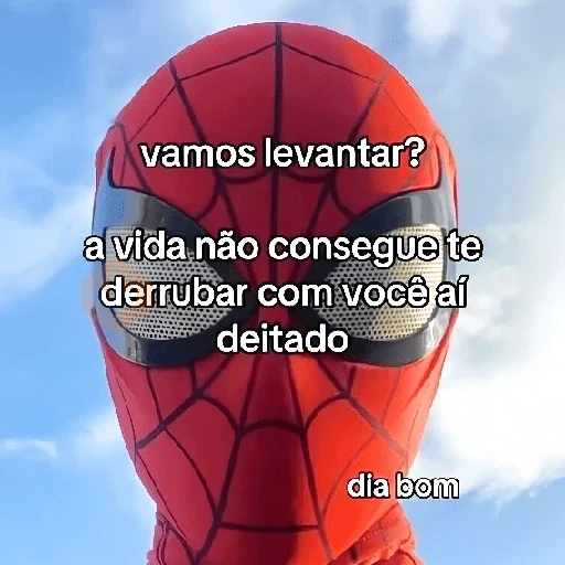 Memes do Miranha sticker 20
