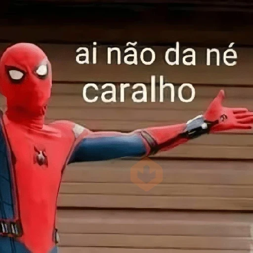 Memes do Miranha sticker 25