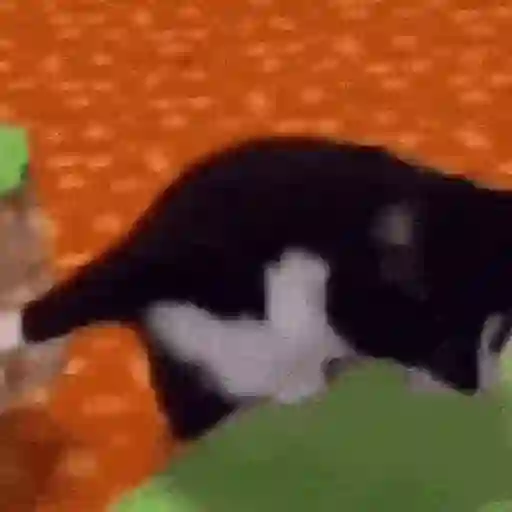 Random Gifs xd sticker 22