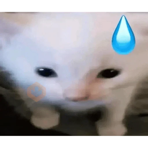 Gato alien sticker 16
