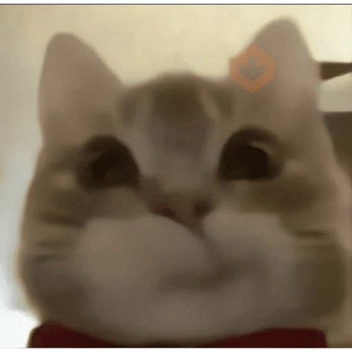 Gato alien sticker 15