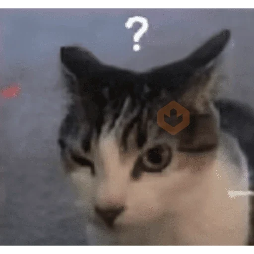 Gato alien sticker 11